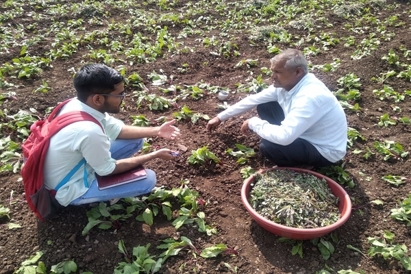 Talk with nearby Farmers